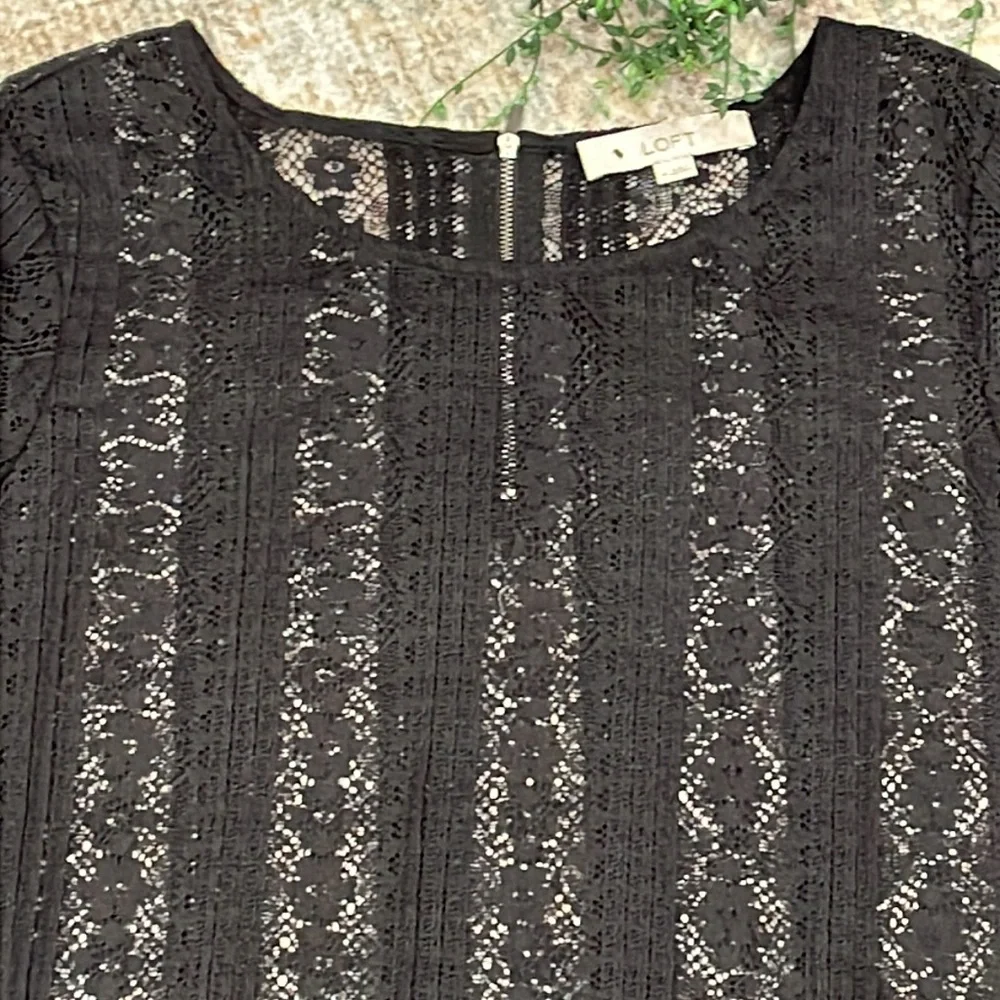 Ann Taylor Loft top - Picture 3 of 6